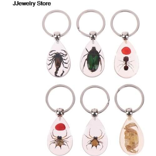 Transparent Insect Keychain Key Ring Real Insect Specimen Party Gift Pendant
