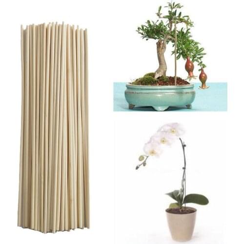 50PCS/set Natural Bamboo Stakes Plant Growth Support Rod Gardening Tools For Small Bonsai Gardening Sticks