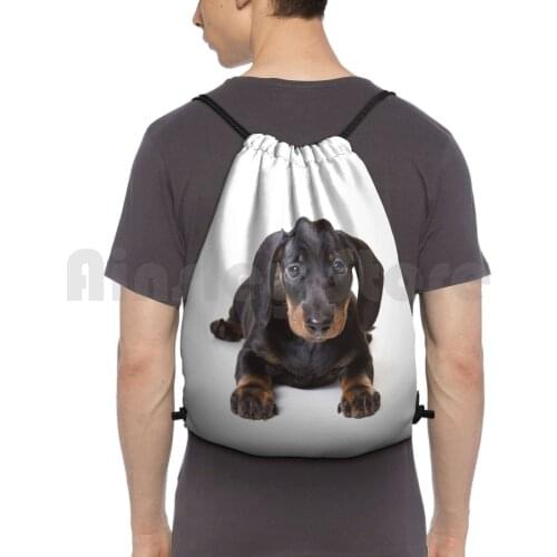 Charming Cute Dachshund Puppy Dog Backpack Drawstring Bags Gym Bag Waterproof Dog Puppy Cute Funny Charming Playful