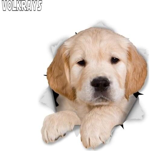 Volkrays 3D Golden Retriever Pup Car Sticker for Auto Motorcycle Luggage Skateboard Laptop Waterproof Decal PVC,15cm*15cm