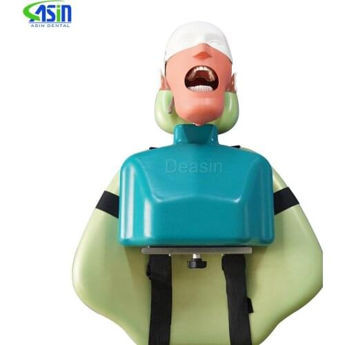 High Quality Senior Manikins Model With Torso It can be fixed on the dental chair for any position practice