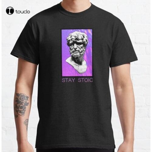 Stay Stoic Marcus Aurelius Seneca Positive Affirmation Philosophy Hellenistic Greek Roman Vaporwave Aesthetic T-Shirt Tee