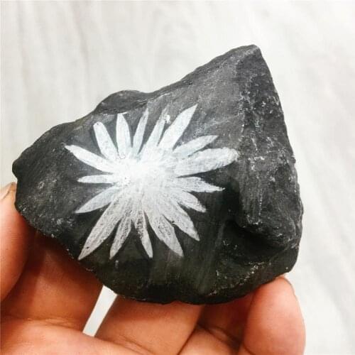 1pcs Natural chrysanthemum stone crystal hand carved black ore crystal shape beautiful gifts