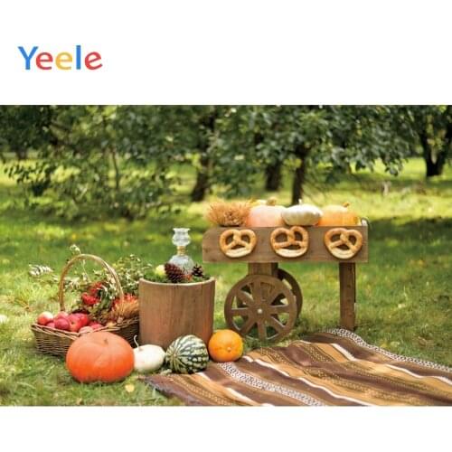 Autumn Farm Park Garden Pumpkin Picnic Cart Baby Portrait Backdrop Vinyl Background Photography Backgrounds For Photo Studio