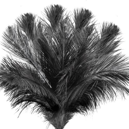 Whoesale Real Ostrich Feather Centerpiece Black Ostrich feather 15-70cm/6-28inch for Wedding Carnival Decoration Plume Ornamnet