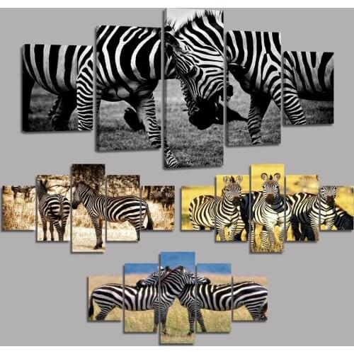 Canvas Paintings on The Wall Art Zebras Posters and Prints Modern Wall Pictures for Living Room No Frame