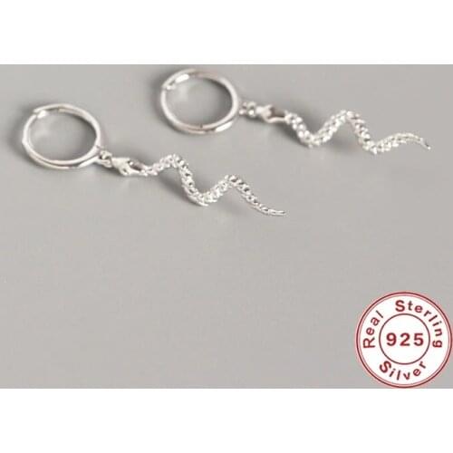 Fashion Snake Tassel Stud Earrings For Women Girls Punk Style 925 Sterling Silver Wedding Jewelry Hypoallergenic eh1084