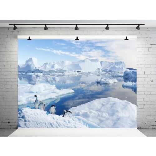 VinylBDS Winter Frozen Background Photography Glacier Penguin Christmas Photography Props Ice Cubes Wedding Photo Background