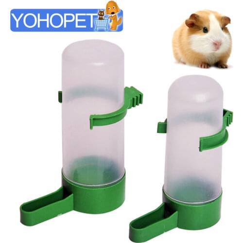 PETruler Bird Feeders