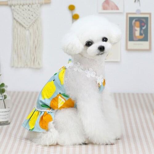 A Cute Sweet Dog Dresses for Small Dogs Chihuahua Lemon Print Dress Skirt Puppy Cat Princess Clothes Apparel