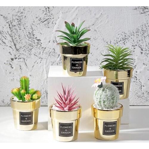Small Nordic Gold-plated Artificial Succulent Bonsai Simulation Potted Plant Cute Desktop Decoration for Home Office Ornament