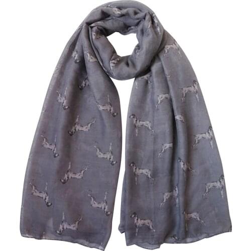 Vizsla Dog Print Womens Scarf Shawl Wrap Soft Lightweight for All Seasons