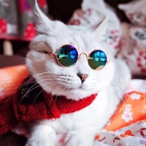 Pet Accessories for Cats Vintage Cat Eye Sunglasses Pet Photo Props Sunglasses Cat Eye Funny Cute Pet Decoration Dog Sunglasses