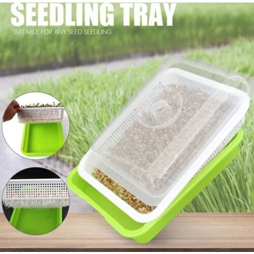 Seed Sprouter Tray BPA Free PP Soil-Free Big Capacity Healthy Wheatgrass Grower with Cover Seedling Tray Sprout Plate Hydroponic