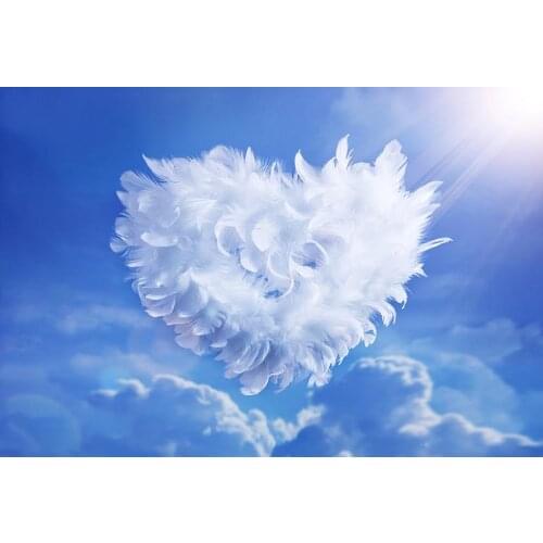 Fantasy Marriage photo background vinyl fotografia feather heart photography backdrops for photo studio props photophone lv-1629