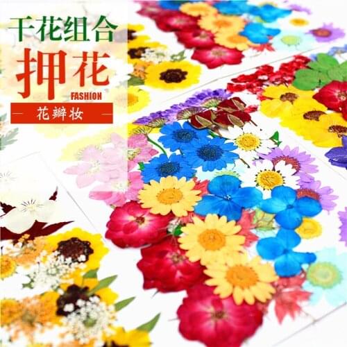Dried Flowers Diy Flower Making for Jewelry