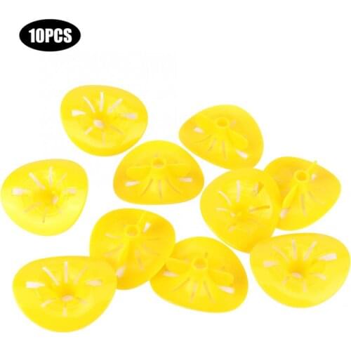 10 Pcs Plastic Reusable Wasp Hornets Bottle Catcher Traps Funnel Killer Beekeeping Tools