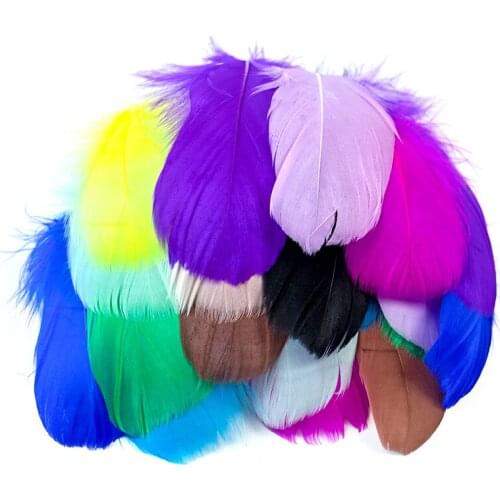 300Pcs/Pack Mixing Natural Goose Feathers for Crafts DIY Jewelry Making Accessories Small Goose Plumes Decoration Wholesale