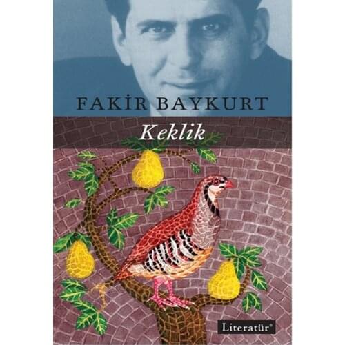 Partridge Poor Baykurt Literature Publishing (TURKISH)