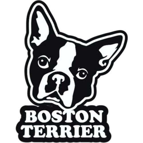 Hot Lovely Boston Terrier Car Stickers and Decal Funny Rear Windshield Trunk Decorative KK12*9cm Vinyl