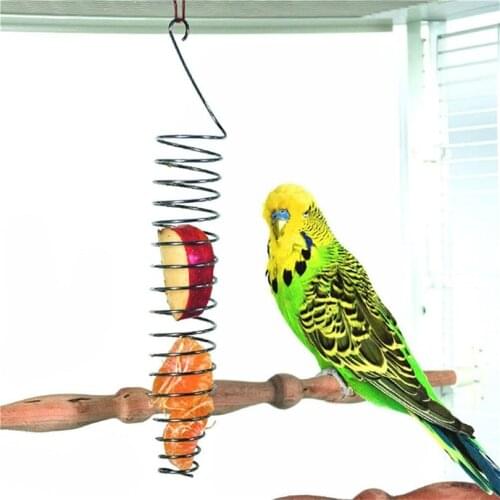Bird Fruit Vegetable Holder Stainless Steel Fruit Vegetable Skewer for Parrot Budgie Parakeet Cockatiel Cockatiel J30