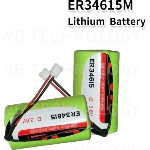 2pcs ER34615M type D intelligent water meter instrument electric flow meter PLC 3.6 V lithium battery ER34615 With Plug