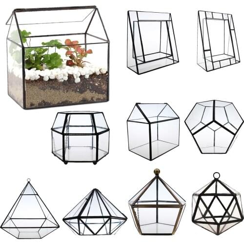 Home Garden Glass Planter Open Terrarium Box Fern Moss Plant Display Case Pot
