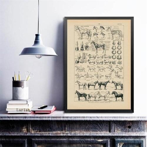 Vintage Horse Anatomy Chart Prints Biology Wall Art Canvas Painting Horse Illustration Animal Poster Office Home Decoration