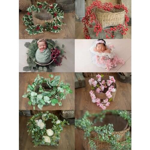 2021 Baby Newborn Photography Prop Green Plants Basket Stuffer Accessorie Berry Daisy Rattan Strip Vine Studio Shooting Flowers