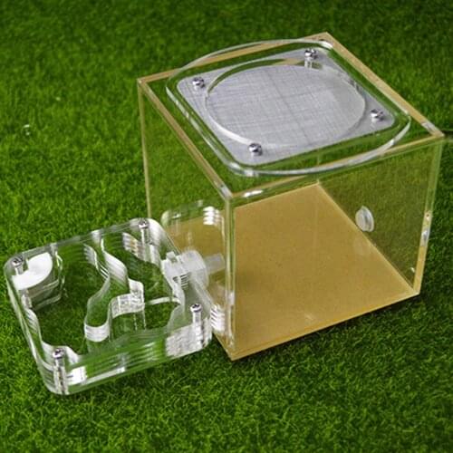 Plane Acrylic Moisturizing Ant Farm Pet Ant Castle Workshop Home Reptile Terrarium
