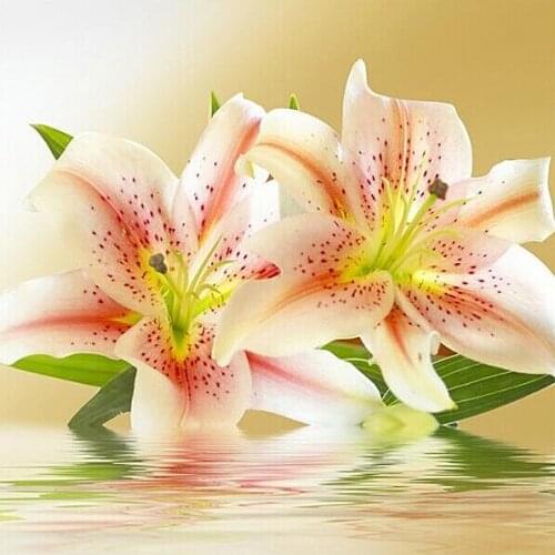 A12204 rose Product Egypt Long-staple Cotton Self-Made No Needlecross stitch kits Van Gogh Wheat Field