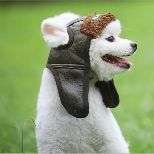 Warm Comfortable Handsome Poilt Cap Winter Warm Pet Dogs Hat Puppy Autumn Winter Cashmere Pet Products Dog Supplies 2021 New