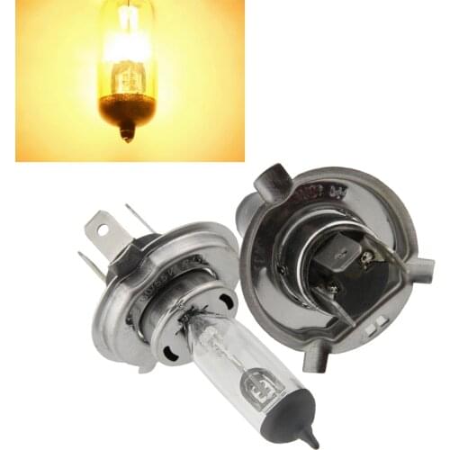 Newell H4 Halogen Bulbs (P43t)