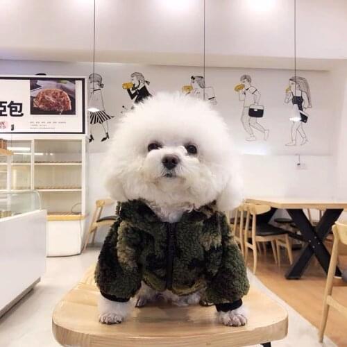 Fashion Pet Dog Wool Jacket Coat Winter Warm Clothes for Small Medium Large Dogs Corgi Chihuahua Pug Costume Dropshipping WSC07