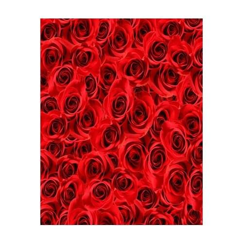 TR 5x7ft valentine red rose vinyl backgrounds new born baby children printed backdrops wedding photo backdrops studio photo prop