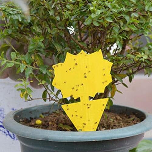 20PCS/Pack Yellow Sticky Trap Flying Insect Sticky Gnat Catcher Dual-sided for Flies Aphid Fruit Fly Indoor And Outdoor