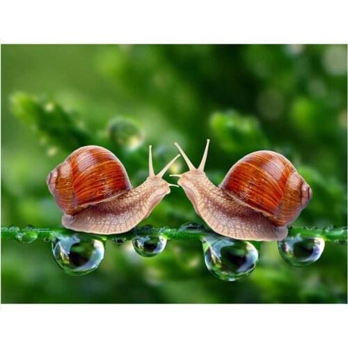 5d Diy Snail Diamond Art Animals Mosaic Embroidery Painting Rhinestone Drawing Pictures Home Wall Papers Handcraft Gift Beadwork