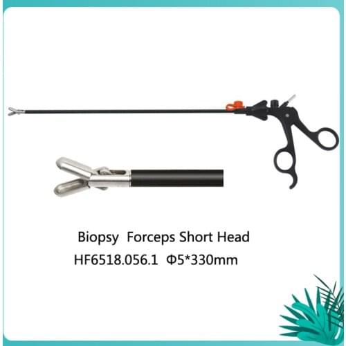 Reusable Surgical Instruments Small Biopsy Forceps Short Head Endoscopy 5mm Medical Abdominal Biopsy Forceps