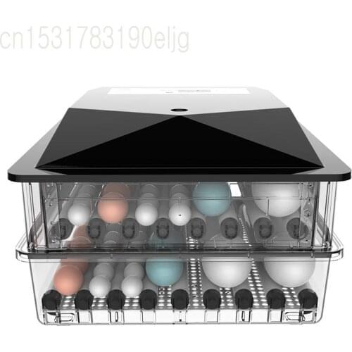 Incubator Small Household Incubator Full Automatic Intelligent Water Bed Incubator Full Automatic Household Mini Children