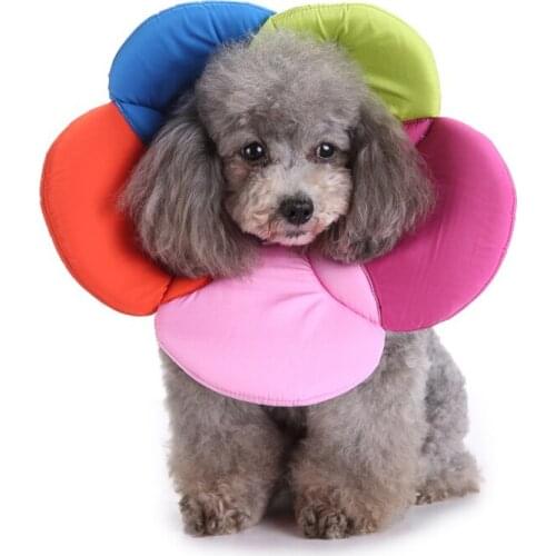 Pet Collar Cat Adjustable Wound Healing Soft Cone Protection Neck Collar Neck Support Dog Leash