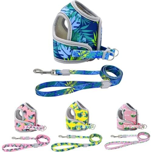 Custom Color Logo Fashion Style Neoprene Small Dog Puppy Harness Vest And Leash Set