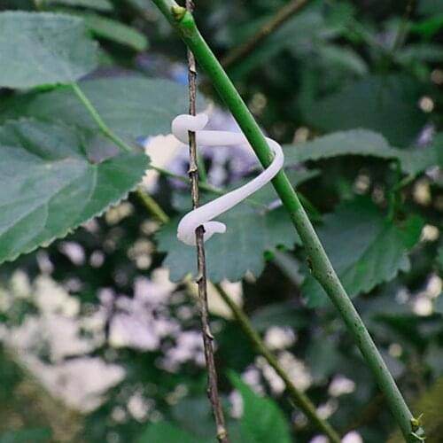 The New 50PCS PP Plant Vine Clips Fastener Tied Buckle For Garden Plant Vegetable Grafting Clip Agricultural Greenhouse Supplies