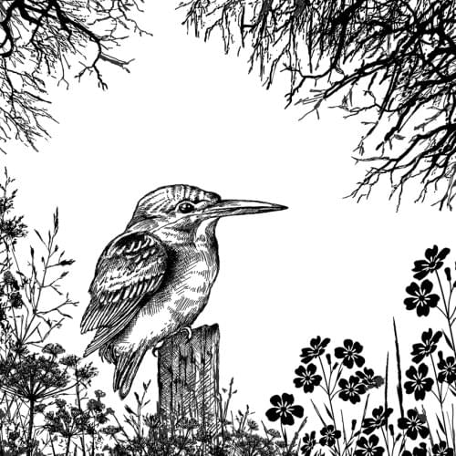 Birds Transparent Clear Silicone Stamp/Seal for DIY scrapbooking/photo album Decorative clear stamp M1276