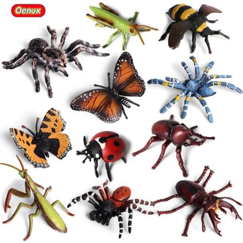 Oenux 11pcs/set High Quality Paintting PVC Insect Model Simulation Butterfly Bee Grasshopper Spider Animals Action Figure Toy