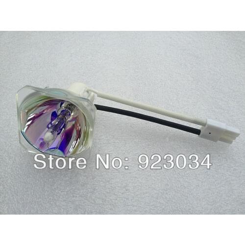 Vivitek D513W Projector Bulb