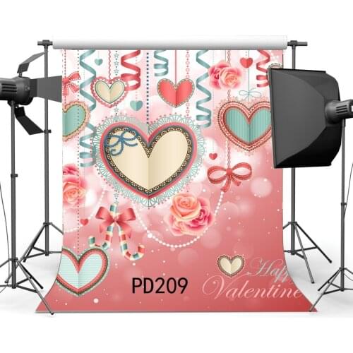 Photography Backdrops Valentines Day String Hearts Rose Flowers Bokeh Halos Sparkle Sequin Background