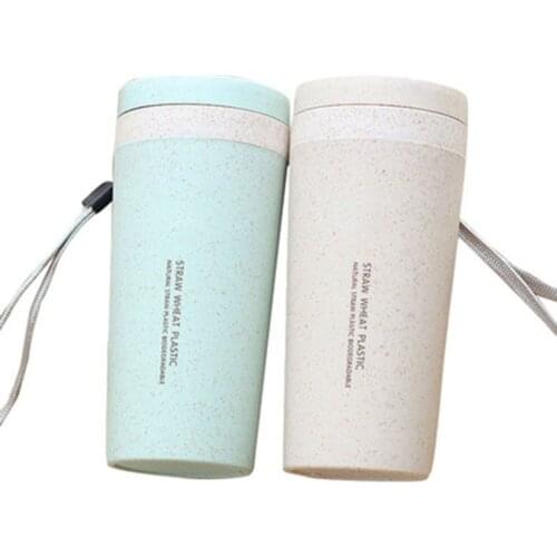 Double Walled Wheat Straw Insulated Water Tumbler Bottle Cup Mug, 300ML Travel Mug with Lanyard, Portable Water Coffee Bottle