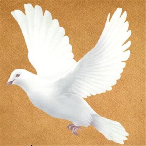 T shirt Women patch 17cm peace dove iron on patches for clothing transfer printing clothes for girls DIY street icon stickers