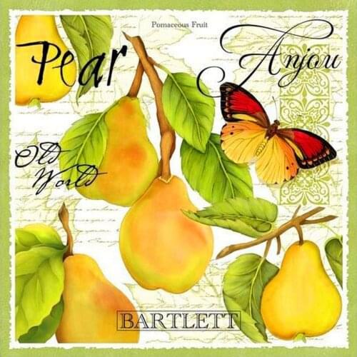 5D Full Square Round drill Diamond Embroidery Pear and butterfly DIY Diamond Painting mosaic pattern Embroidery diamond art