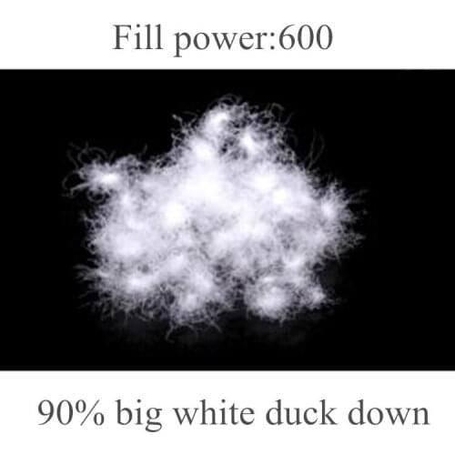 Free shipping epacket /90%Bulk duck down fill power 600 & down coat filler & European standard & 1 lb price /paypal accepted